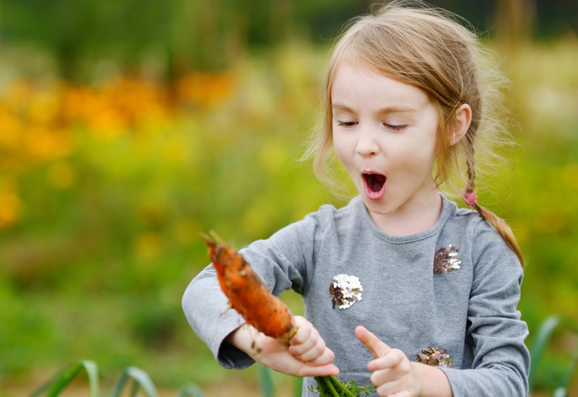 Växtverket - ett lekfullt lärande med en liten tjej med en morot och häpet utseende